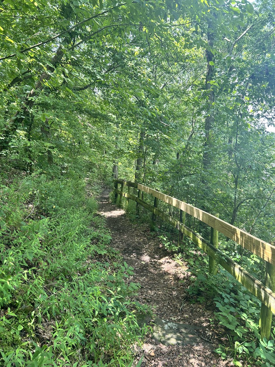 ursummerwine_'s tweet photo. Alabama in the springtime is heavenly https://t.co/0UislZrnCQ