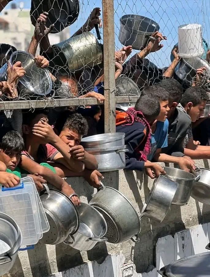 Wigilante44's tweet photo. Gazze'da yemek yok 😭💔 🇵🇸
Gazze 'de su yok 😭💔 🇵🇸
#WakeUpHuman #FreePalestine #BoykotaDevam #Terroristİsrael https://t.co/1sV63ZK1zz