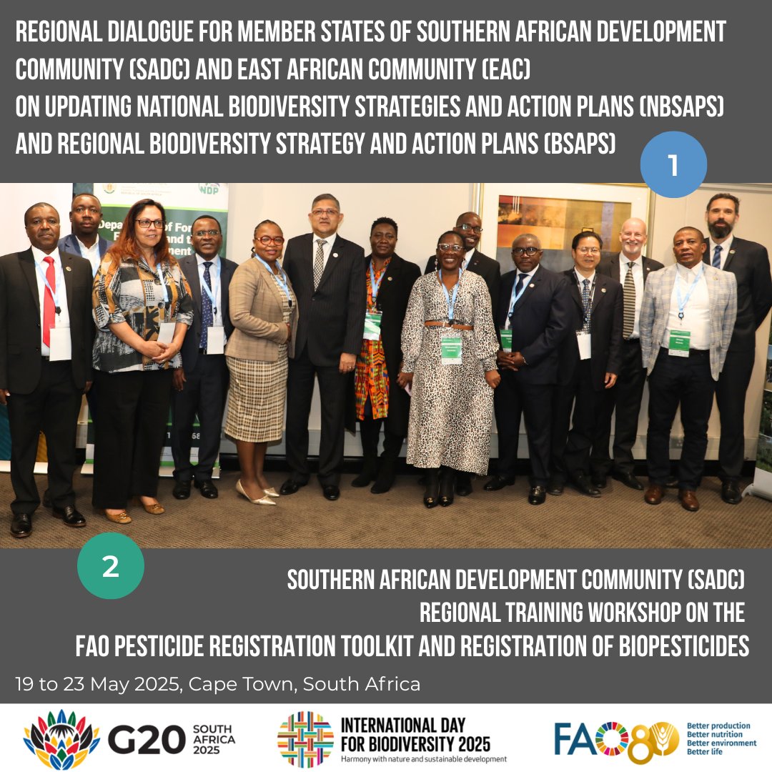 SADC &amp; EAC together to Accelerate Biodiversity Action under the Global Framework: 1️⃣The Regional Dialogue on the revision of #NBSAPs 2️⃣ FAO-led training on the Pesticide Registration Toolkit &amp; Biopesticides. Key steps toward integrating biodiversity into agri-food systems #KMGBF