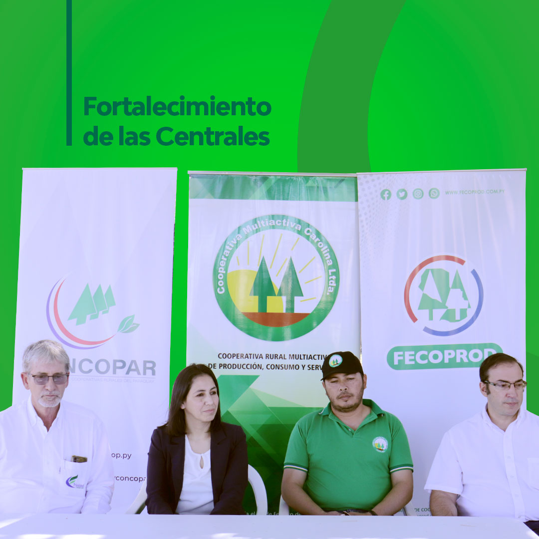 PYCONCOPAR's tweet photo. 🤝🏻El camino hacia un desarrollo rural sostenible comienza con el fortalecimiento de nuestras bases.

¡Seguimos trabajando para impulsar el cooperativismo! 🌲

#LogrosCooperativos #SembrandoCooperación #CosechandoProgreso https://t.co/wSFiF5dXTh