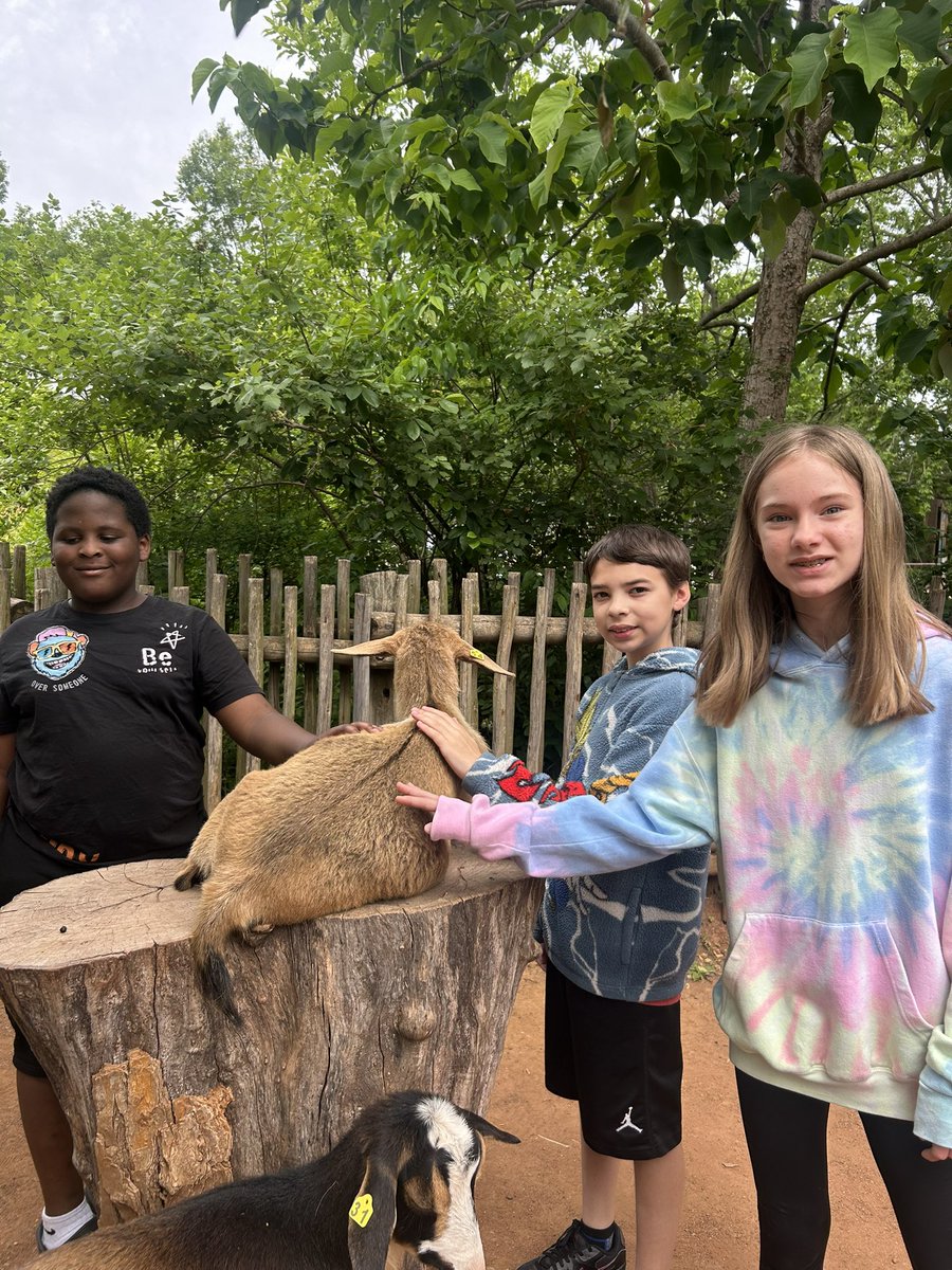 Had so much fun with our fifth graders at the <a href="/LouisvilleZoo/">Louisville Zoo</a> today! 🐅🦓 🦒