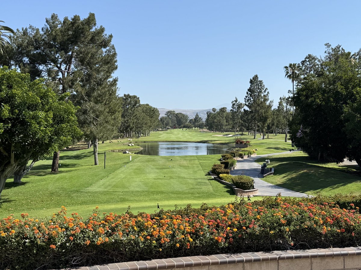 wdlyon's tweet image. Good Morning World! ⛳️☕️☕️
Current view! Let's Go Monday! 🇺🇸
Hope YOU have the best day ever!
#LiveFree #Win #Dream #AttackLIFE 🦈