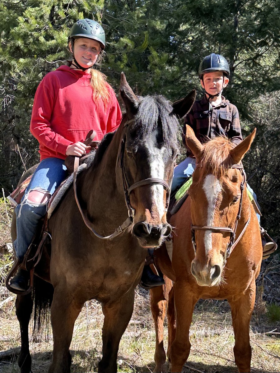 Most racehorses are only on the track for 1 to 5 years.

But their average lifespan? 23 to 25 years.

That means the bulk of a Thoroughbred’s life happens after racing. And that’s where aftercare comes in.

From show jumping to therapy work to simply being someone’s beloved