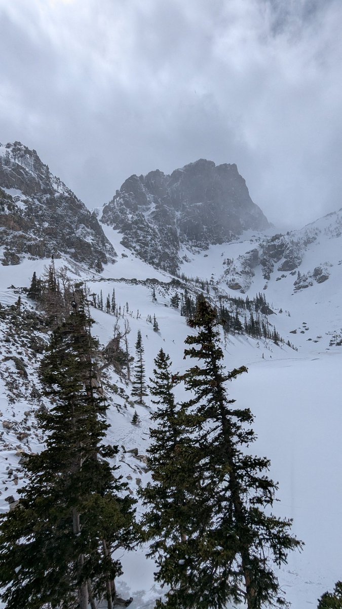 Wally! (Bøunce) tweet media