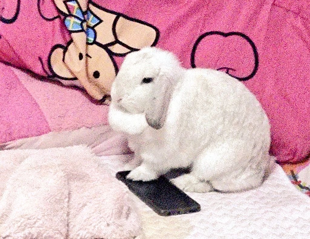 Muumi_cha's tweet photo. No เหลี่ยมๆ https://t.co/hsEpelCcEM