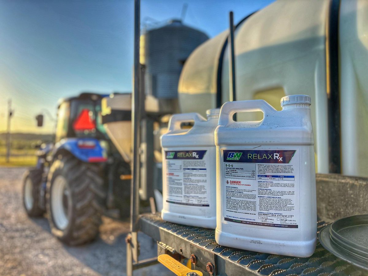 BW Fusion tweet media