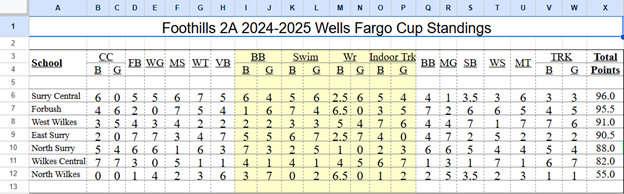 We are excited to announce that Surry Central has won the Wells Fargo Conference Cup for the 2024-2025 season. This award recognizes the best interscholastic athletic performance in each NCHSAA conference. Thank you to all athletes and coaches who made this possible.
 
#TheBigSC