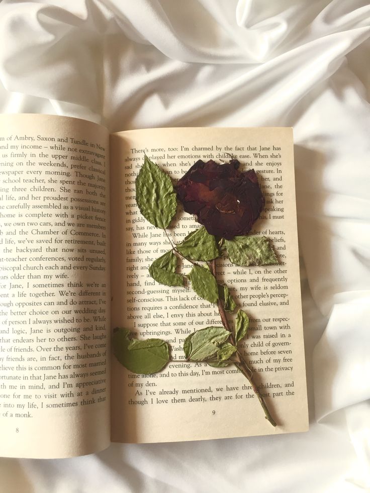 Dr. Rimsha Fatima tweet media