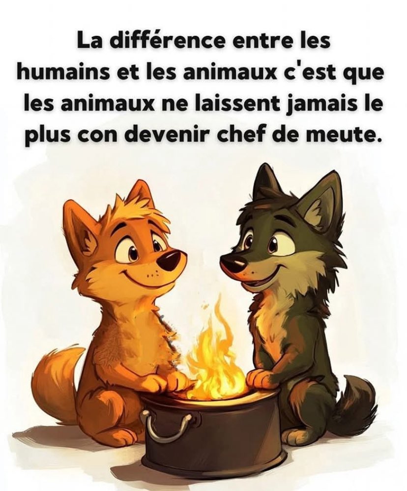 Ad_Vitam44_'s tweet photo. À méditer 🧘‍♂️ 👇🏼 https://t.co/ZS9VAUPhhP