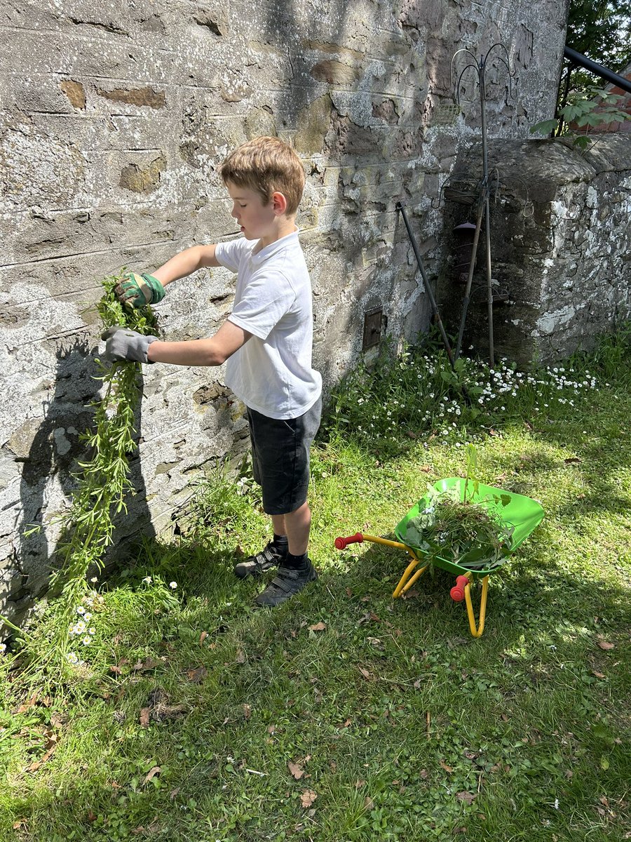 Abernyte Primary (@abernytep) on Twitter photo Busy hands, looking after our school grounds and helping biodiversity.🪵🪴🌸🪻🌻 <a href="/EcoSchools/">Eco-Schools England</a> <a href="/EcoSchoolsInt/">Eco-Schools Global</a> Busy hands, looking after our school grounds and helping biodiversity.🪵🪴🌸🪻🌻 <a href="/EcoSchools/">Eco-Schools England</a> <a href="/EcoSchoolsInt/">Eco-Schools Global</a>