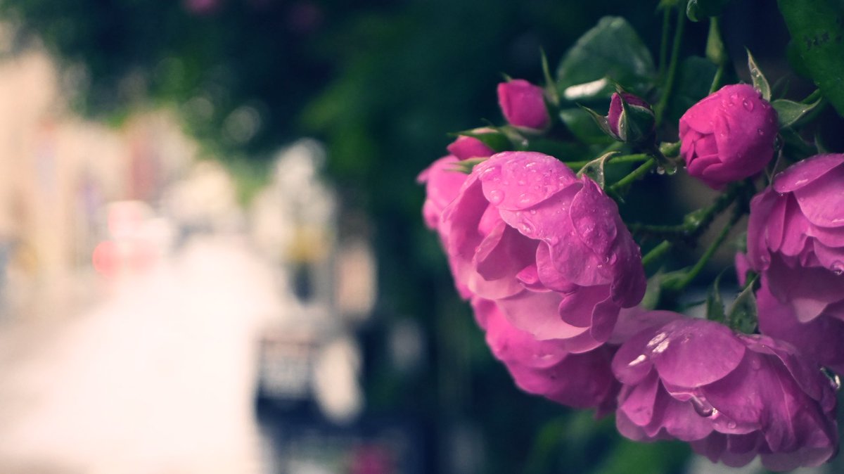 田中和輝@anime.co.jp (@tadano_seisaku) on Twitter photo 