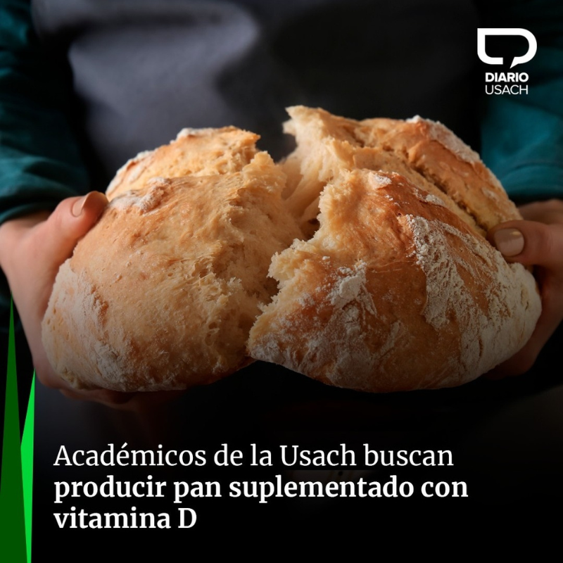 VriicUsach's tweet photo. #UsachEnLosMedios 🗞️ | ¡Pan suplementado con vitamina D!  🍞

🚩💡Conoce más del proyecto I+D que desarrolla #CECTA @usach  en colaboración con @ChilePAN y apoyado por DGT @VriicUsach

👉Lee la nota en #DiarioUsach: https://t.co/6Bh0O3Ua4d https://t.co/zNalLDXQmL