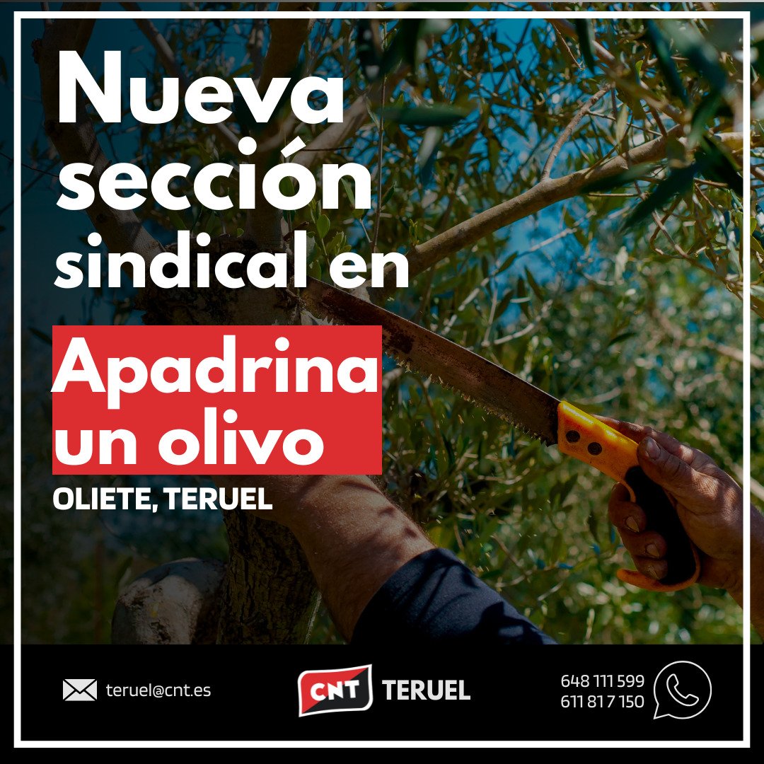 CNT Teruel (@cnt_teruel) on Twitter photo CNT Constituye sección sindical en la Asociación Apadrina un Olivo <a href="/adoptaunolivo/">Apadrinaunolivo.org</a> dedicada a la producción y transformación agroalimentaria, a la compensación de emisiones de Co2 a diferentes empresas, además de proyectar su Responsabilidad Social Corporativa. CNT Constituye sección sindical en la Asociación Apadrina un Olivo <a href="/adoptaunolivo/">Apadrinaunolivo.org</a> dedicada a la producción y transformación agroalimentaria, a la compensación de emisiones de Co2 a diferentes empresas, además de proyectar su Responsabilidad Social Corporativa.