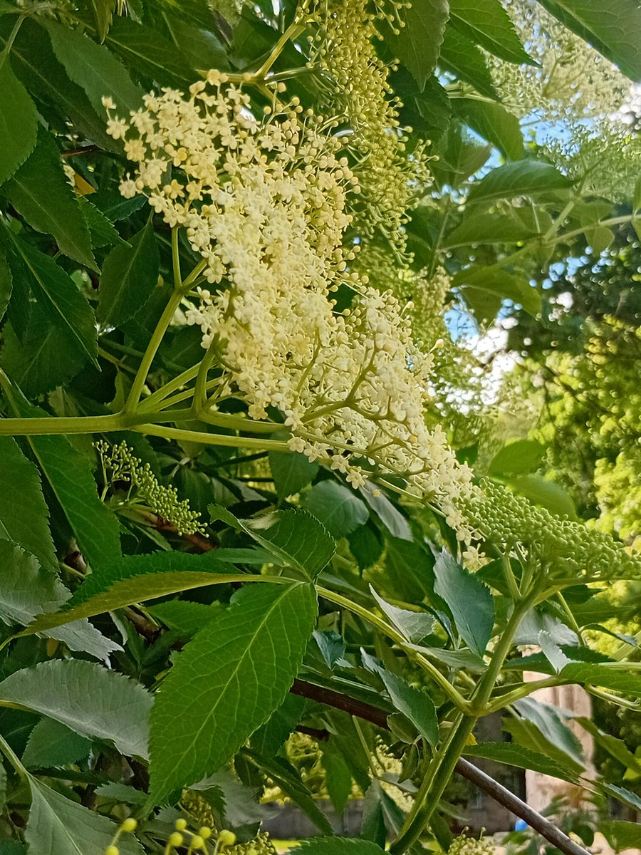 Катерина Галич tweet media