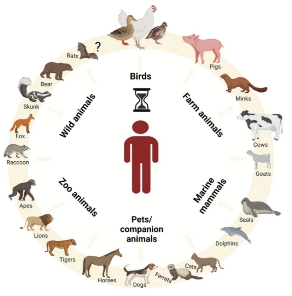 MasBofill's tweet photo. @XavierAbadMdG Som tan antropocèntrics que perquè afecta, encara,  majoritàriament animals ens està costant assumir que tenim damunt una pandèmia
#HighlyPathogenicH5N1
Imatge: 
https://t.co/I6HISwVRDj https://t.co/ADDXkYVaP4