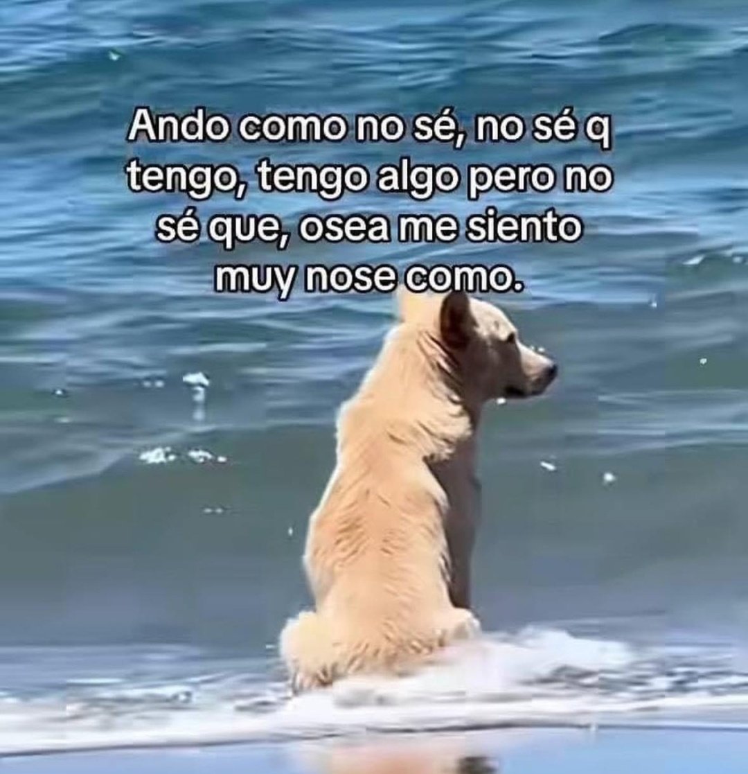 Frases Barbie (@barbie_context) on Twitter photo 