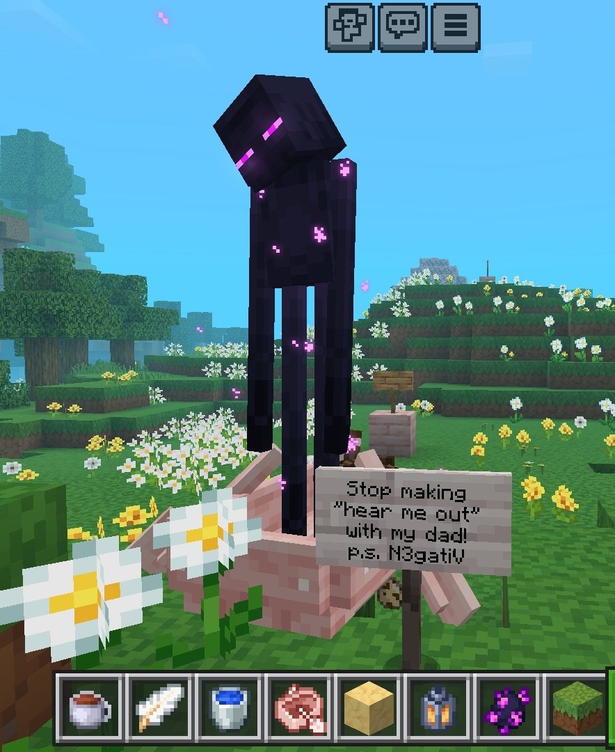 N3gatiV lore in one picture 

#enderman #Minecraft