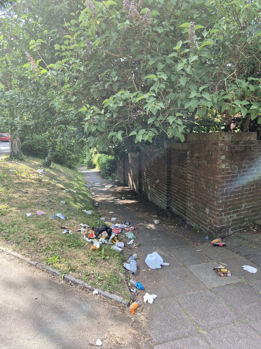 Kittylitterpic1's tweet photo. On the weekend, someone #flytipped black bags in the lane in Wellwood, #Llanedeyrn. They contained fruit, so animals ripped them open, the contents were strewn everywhere! Took me 20 minutes to clean it up. Someone must know who is regularly #flytipping here. #keepcardifftidy https://t.co/1ErI2PlTta