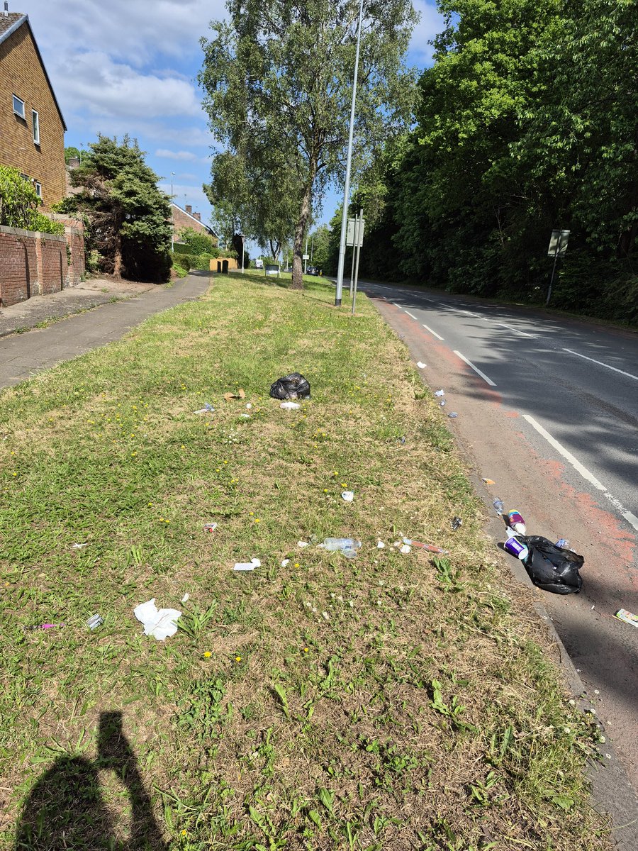 Kittylitterpic1's tweet photo. On the weekend, someone #flytipped black bags in the lane in Wellwood, #Llanedeyrn. They contained fruit, so animals ripped them open, the contents were strewn everywhere! Took me 20 minutes to clean it up. Someone must know who is regularly #flytipping here. #keepcardifftidy https://t.co/1ErI2PlTta