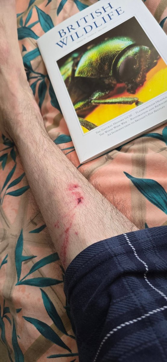 Jamie warren tweet media