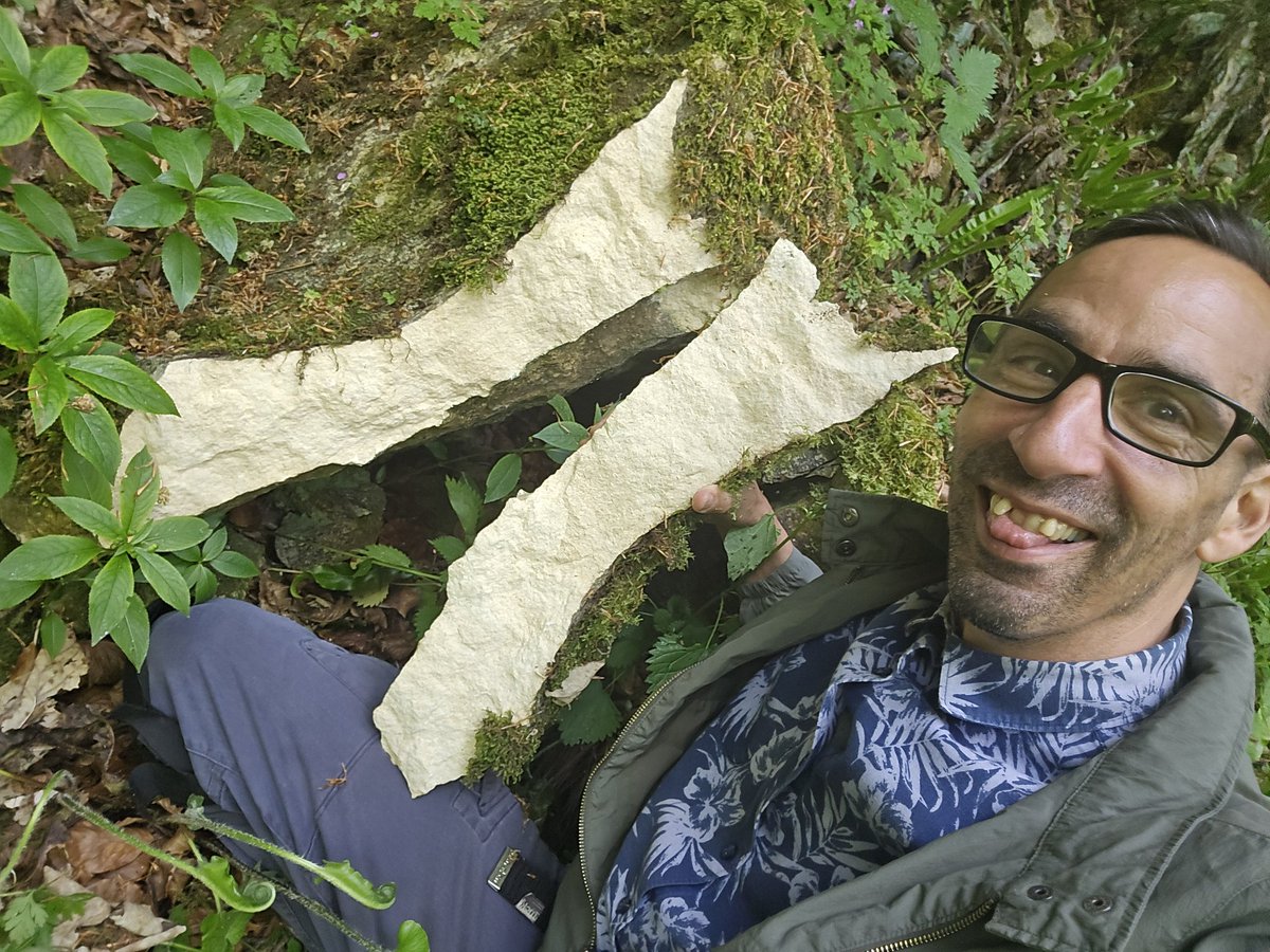 Jamie warren tweet media