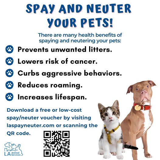 City of Los Angeles (@lacity) on Twitter photo Free spay/neuter certificates & low-cost vouchers are available to all Angelenos! 🐶🐱 Get yours at laspayneuter.com. Each household can receive vouchers for up to 3 dogs & 3 cats. #SpayNeuterAwareness with <a href="/LACityPets/">LA Animal Services</a> Free spay/neuter certificates & low-cost vouchers are available to all Angelenos! 🐶🐱 Get yours at laspayneuter.com. Each household can receive vouchers for up to 3 dogs & 3 cats. #SpayNeuterAwareness with <a href="/LACityPets/">LA Animal Services</a>