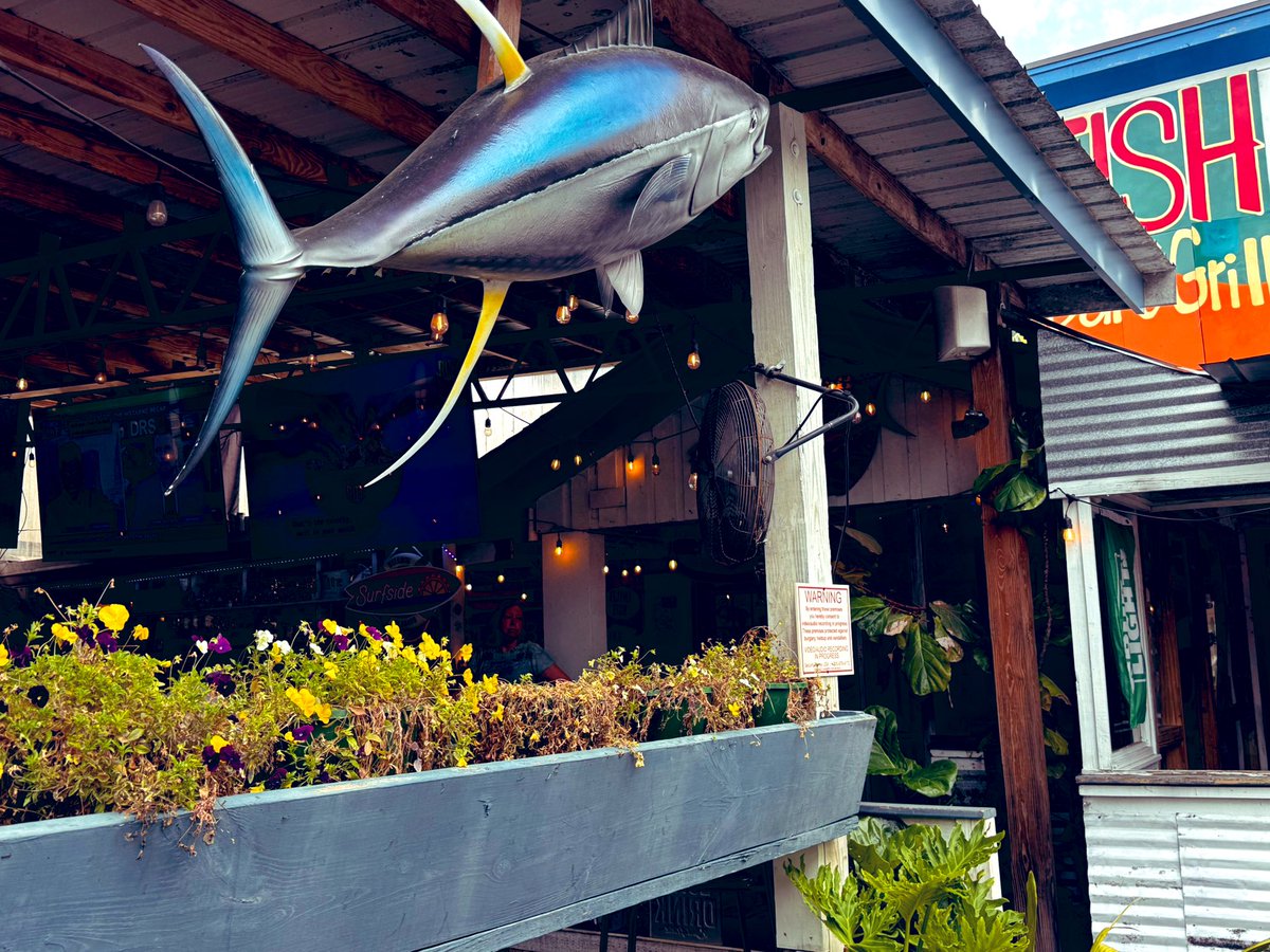 Roots Woodruff tweet media