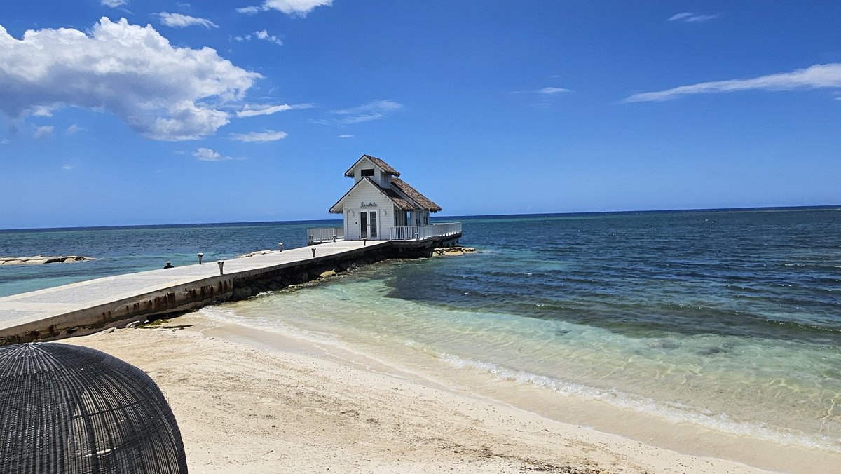 Grey Canadian tweet media