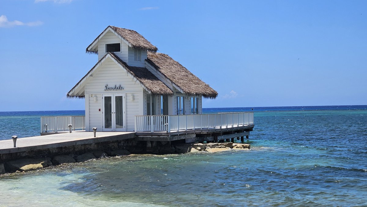 Grey Canadian tweet media