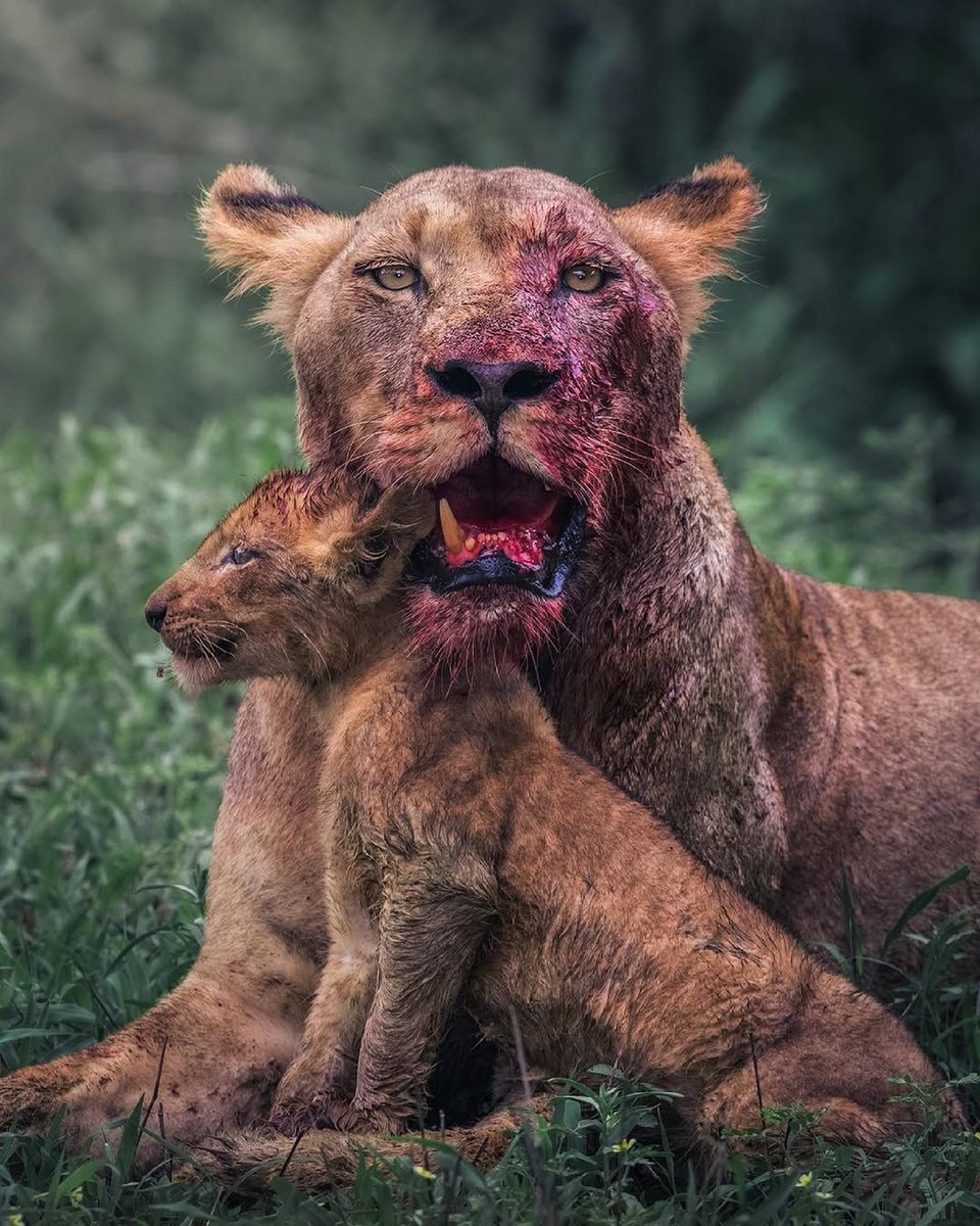 speechless. the pose. the expression. this should be a painting.

📸: Mark Dumbleton