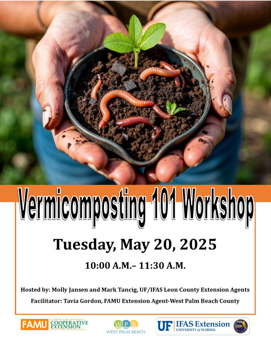 FAMU Cooperative Extension Program (@famuext) on Twitter photo ♻️ Turn food scraps into black gold with worms! 🪱
Join @UF/IFAS Leon County Extension & <a href="/FAMUExt/">FAMU Cooperative Extension Program</a> for a free virtual workshop on vermicomposting! Learn how to start & maintain your own worm bin.
📅 May 20 | 🕙 10–11:30 AM
🔗 ufl.zoom.us/j/99884739415?…
🔐 Passcode: 217586 ♻️ Turn food scraps into black gold with worms! 🪱
Join @UF/IFAS Leon County Extension & <a href="/FAMUExt/">FAMU Cooperative Extension Program</a> for a free virtual workshop on vermicomposting! Learn how to start & maintain your own worm bin.
📅 May 20 | 🕙 10–11:30 AM
🔗 ufl.zoom.us/j/99884739415?…
🔐 Passcode: 217586