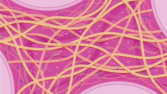 New online!  Dual mechanotherapy for the treatment of cardiac fibrosis nature.com/articles/s4156…