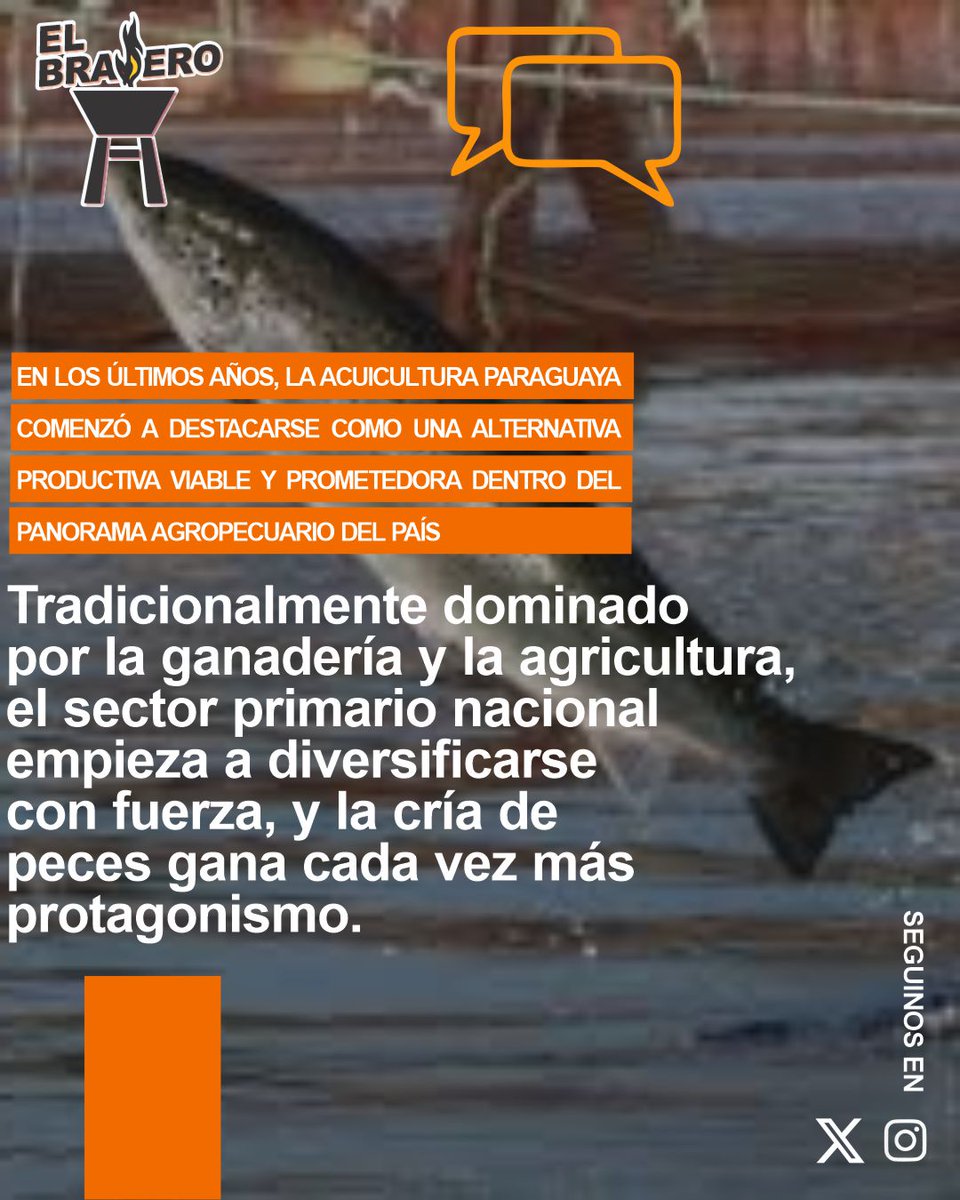 Buscan fortalecer la acuicultura para potenciar la economía