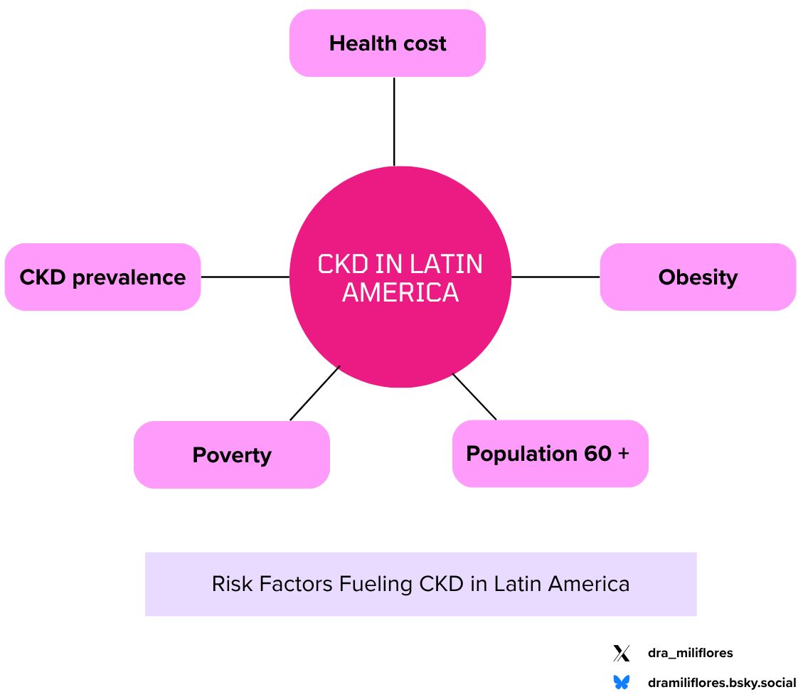 Milagros Flores (@dra_miliflores) on Twitter photo <a href="/valerie_luyckx/">Valerie Luyckx</a> <a href="/MarinaWainstein/">Marina_Wainstein</a> CKD in Latin America: A Public Health Emergency
🌎 Population: 664 million
👵 10% aged 60+
💰 27% living in poverty
⚖️ 62% overweight or obese
💉 CKD prevalence: 10.2%
💸 Health expenditure: 8.3% of GDP
These socioeconomic and health factors create a perfect storm for CKD to <a href="/valerie_luyckx/">Valerie Luyckx</a> <a href="/MarinaWainstein/">Marina_Wainstein</a> CKD in Latin America: A Public Health Emergency
🌎 Population: 664 million
👵 10% aged 60+
💰 27% living in poverty
⚖️ 62% overweight or obese
💉 CKD prevalence: 10.2%
💸 Health expenditure: 8.3% of GDP
These socioeconomic and health factors create a perfect storm for CKD to