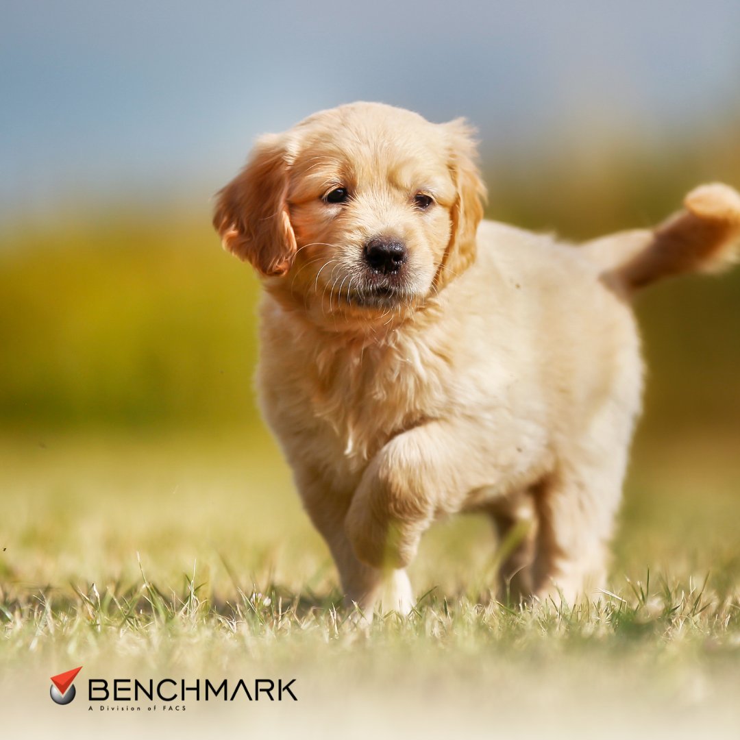 Benchmark Enviro tweet media