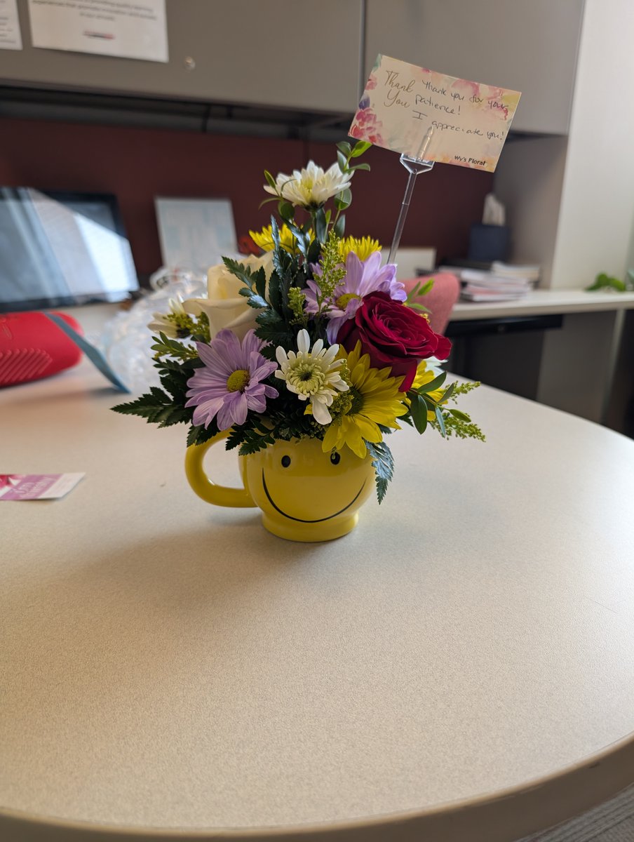 Janet O'Hara tweet media