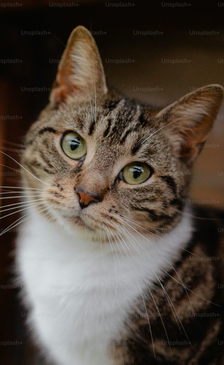 dasanithecutie's tweet image. 