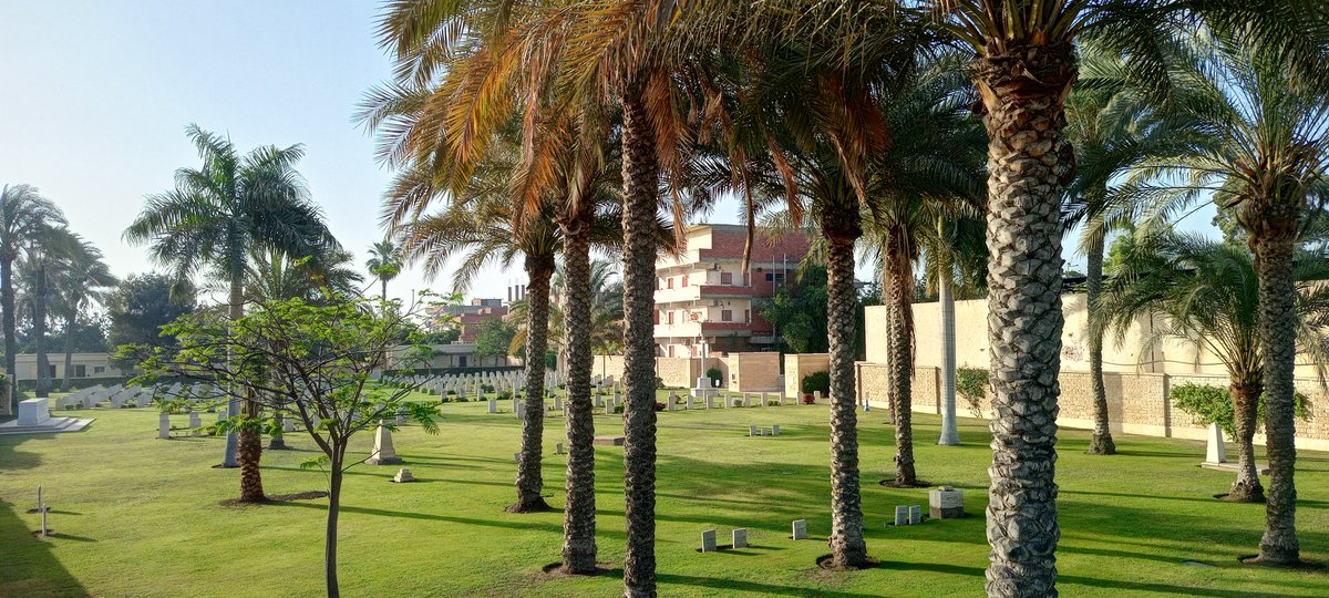 Today at the Tel al-Kabir War Memorial Cemetery <a href="/CWGC/">Commonwealth War Graves</a> <a href="/AAPAComms/">AAAComms</a>