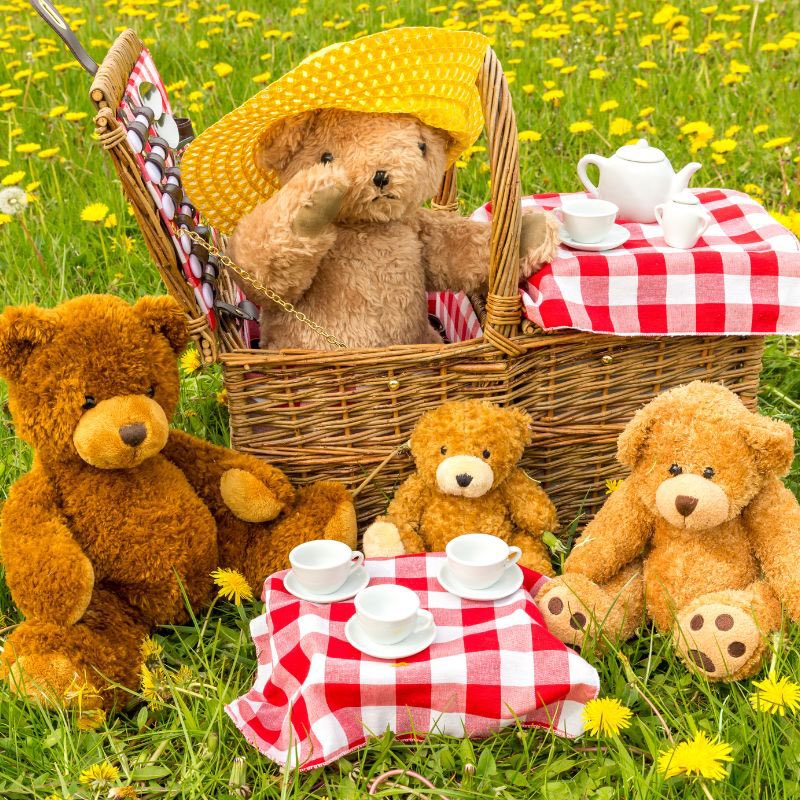 LindenCentreM1's tweet photo. We are having a TEDDY BEAR PICNIC in Maple Class on Wednesday - don’t forget to bring your favourite teddy! https://t.co/RjfzVSVRoa
