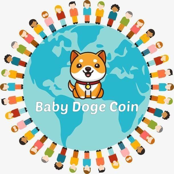 BabyDogehub tweet media