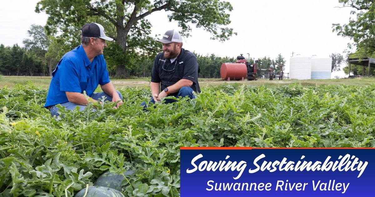 UF IFAS Solutions (@uf_ifas) on Twitter photo Suwannee River Valley watermelon farmers are proving that farming and environmental stewardship can go hand in hand. #FloridaAgriculture
More on how we worked with growers, <a href="/FDACS/">Florida Dept. of Agriculture & Consumer Services</a> and the SRWMD to save 164 million gallons of water and help give them back time 🔗 Suwannee River Valley watermelon farmers are proving that farming and environmental stewardship can go hand in hand. #FloridaAgriculture
More on how we worked with growers, <a href="/FDACS/">Florida Dept. of Agriculture & Consumer Services</a> and the SRWMD to save 164 million gallons of water and help give them back time 🔗