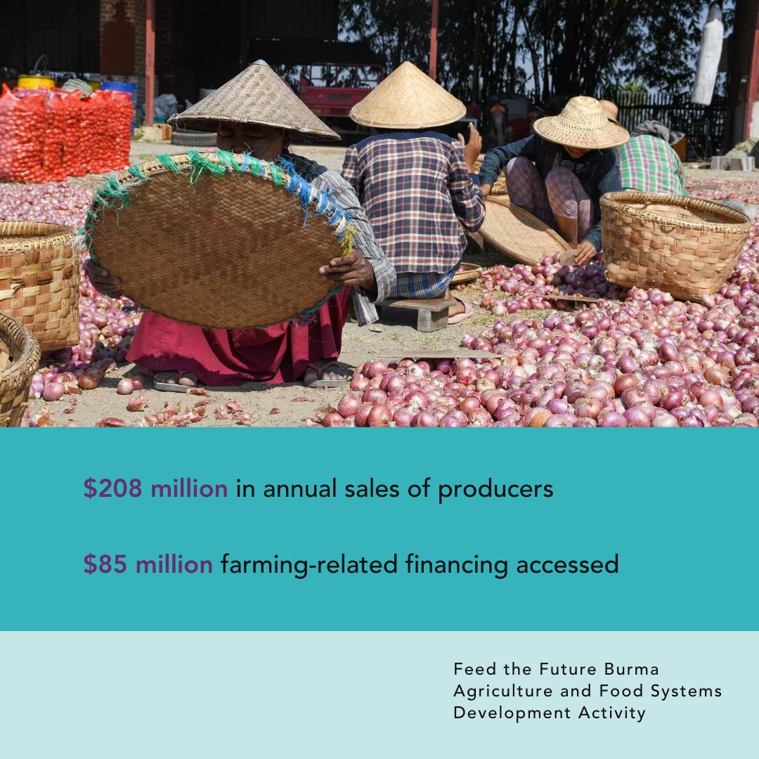 ACDI/VOCA (@acdivoca) on Twitter photo As the Feed the Future Burma Agriculture and Food Systems Development Activity comes to a close, we are proud to share our achievements from 2019 to 2025! #globaldev #Myanmar #FoodSecurity <a href="/USEmbassyBurma/">U.S. Embassy Burma</a> As the Feed the Future Burma Agriculture and Food Systems Development Activity comes to a close, we are proud to share our achievements from 2019 to 2025! #globaldev #Myanmar #FoodSecurity <a href="/USEmbassyBurma/">U.S. Embassy Burma</a>