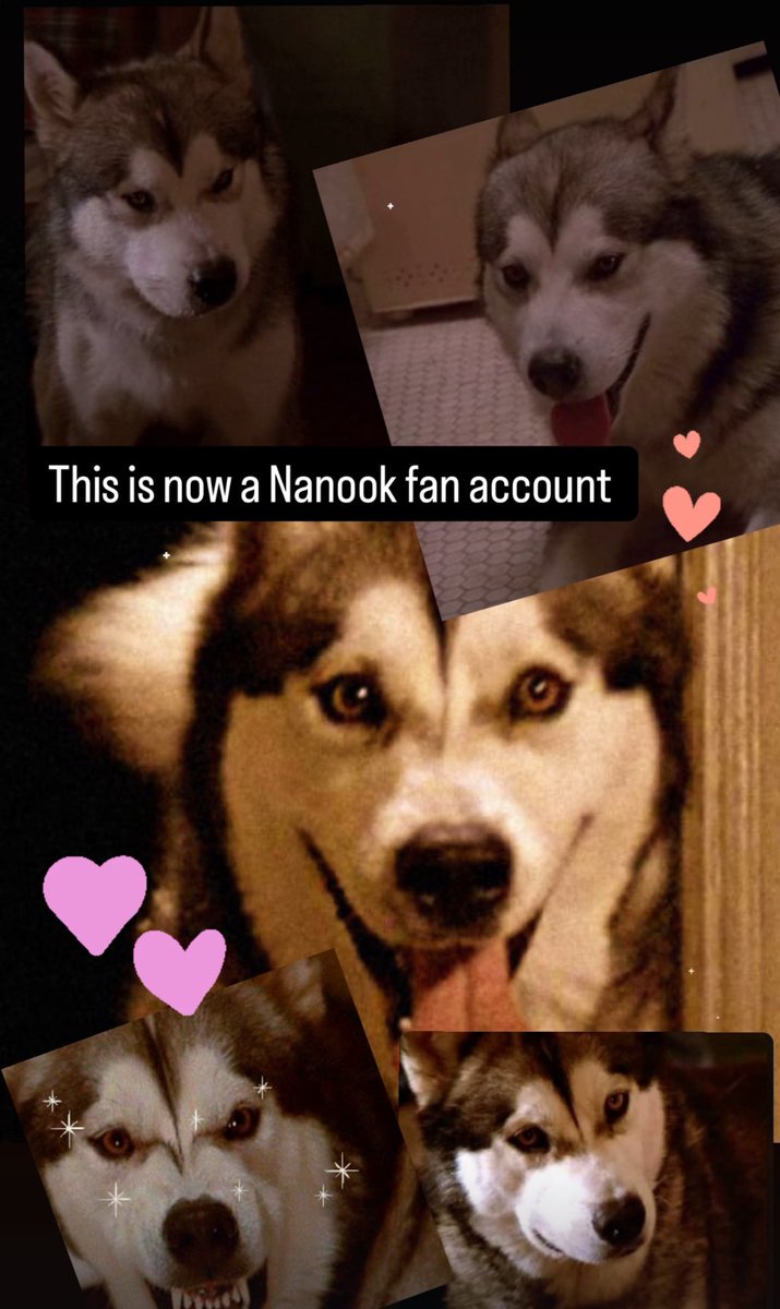 finally watched the Lost Boys for the first time in my life