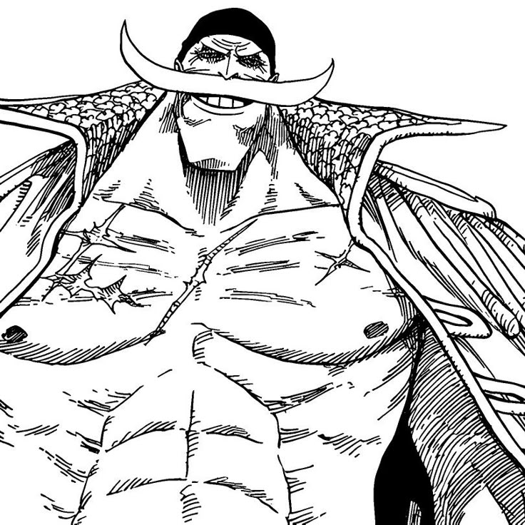 cakuon's tweet image. Oda will never ever disrespect the old men in a combat scenario whether its against the Yonko or admirals. They're gonna always flex and they have the built in age/sickness excuses.

#ONEPIECE1149