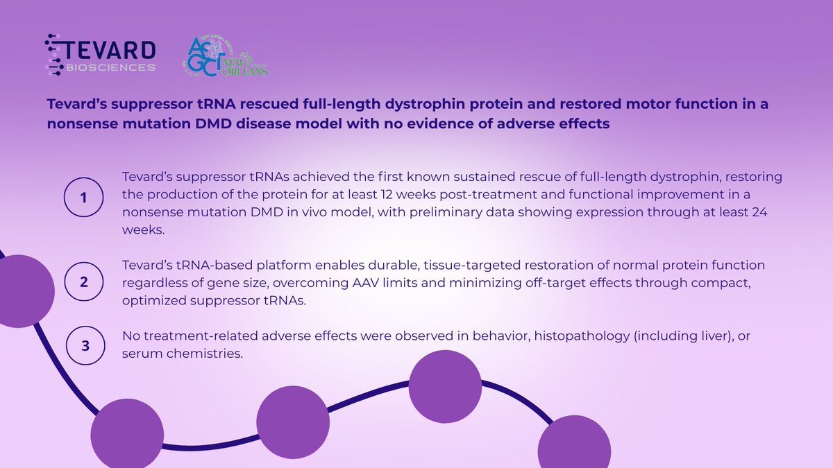 TevardB's tweet image. Data at #ASGCT2025 showed suppressor tRNA therapy restored full-length dystrophin up to 27% in a #Duchenne (DMD) model. Durable and potent efficacy and improved behavioral outcomes without observable side effects across multiple muscles demonstrated. rb.gy/pz9gdf