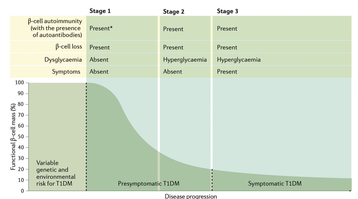 🔍 Diabetes tipo 1:

🔘 Clasificación: Pre sintomática y sintomática.
🔘Estadios:
1 - autoAc y la ausencia de disglucemia.
2 - autoAc + disglucemia.
3 - sintomática.

Nat Rev Dis Primers 3, 17016 (2017). 10.1038/nrdp.2017.16

#endocrino #medicinainterna #medicina