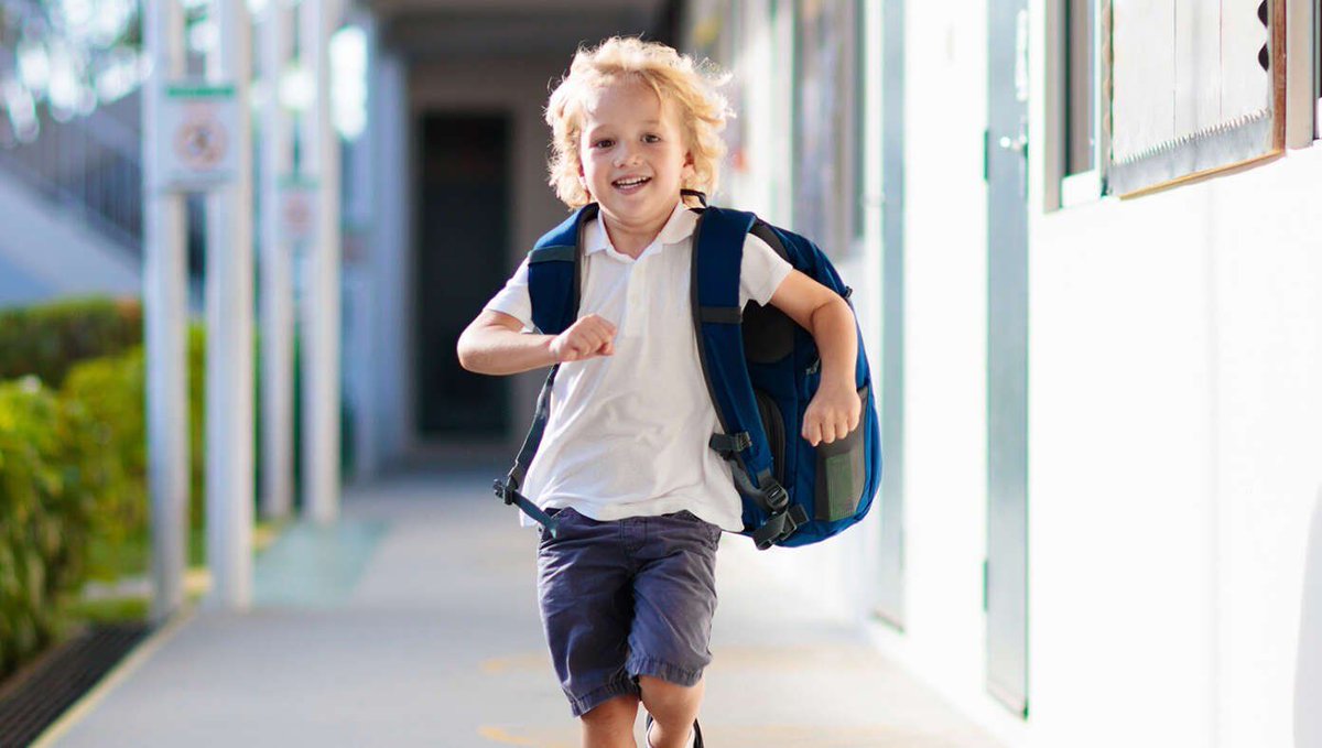 The Babylon Bee tweet media