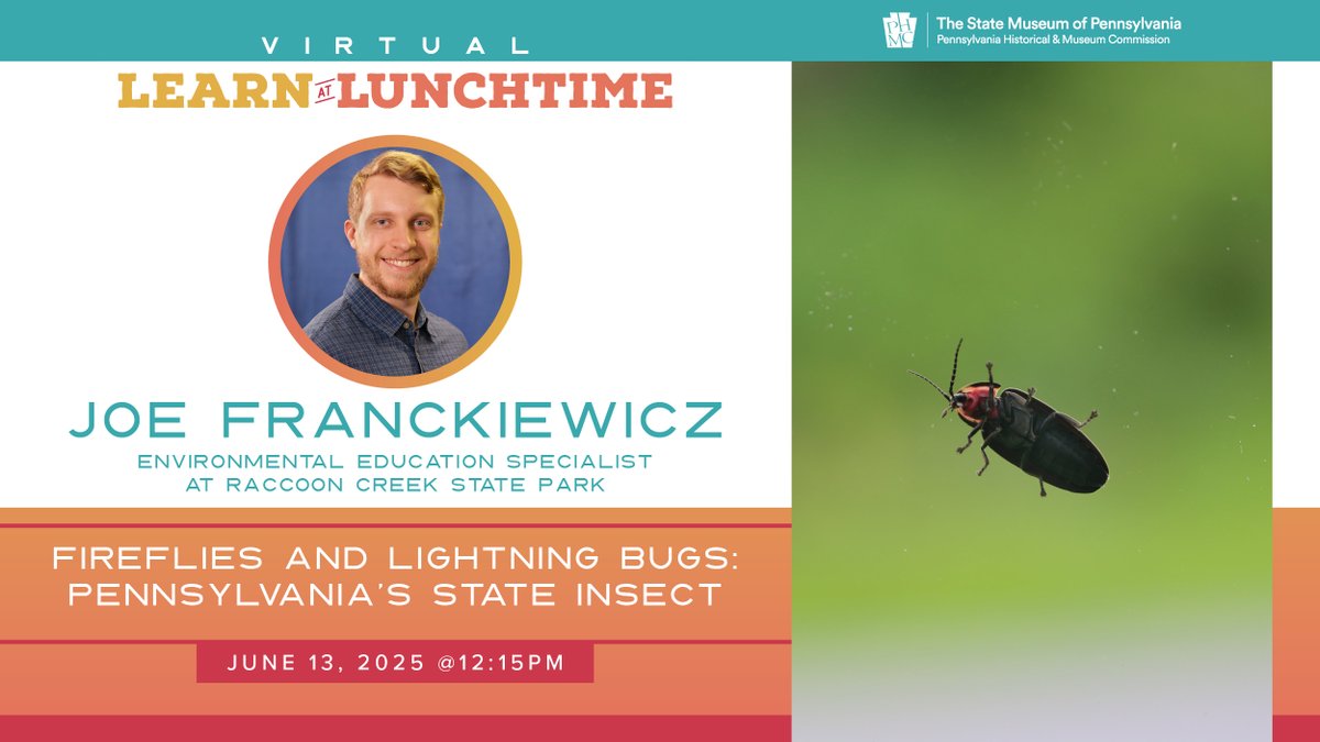 State Museum of PA (@statemuseumpa) on Twitter photo Joe Franckiewicz, Environmental Education Specialist with <a href="/DCNRnews/">PA Department of Conservation & Natural Resources</a> will discuss fireflies! Learn about their ecology, chemistry, life cycle, and threats currently facing them during this virtual Learn at Lunchtime program. Registration is required..
statemuseumpa.org/event/virtual-… Joe Franckiewicz, Environmental Education Specialist with <a href="/DCNRnews/">PA Department of Conservation & Natural Resources</a> will discuss fireflies! Learn about their ecology, chemistry, life cycle, and threats currently facing them during this virtual Learn at Lunchtime program. Registration is required..
statemuseumpa.org/event/virtual-…