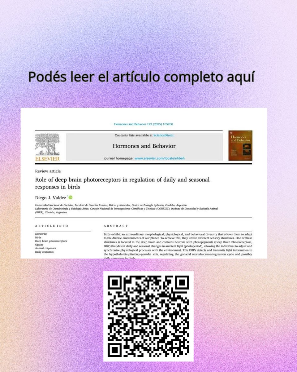 Inst. de Diversidad y Ecología Animal (IDEA) tweet media