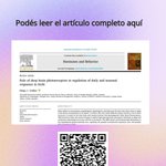 Photo by Inst. de Diversidad y Ecología Animal (IDEA) (@IDEA_CONICET)